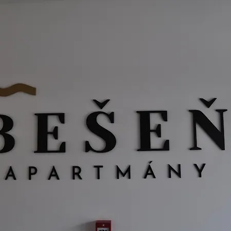 Timo Besen 209 *