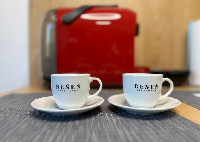Timo Besen 209